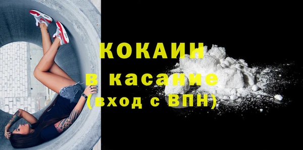 мескалин Ельня