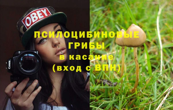 мескалин Ельня