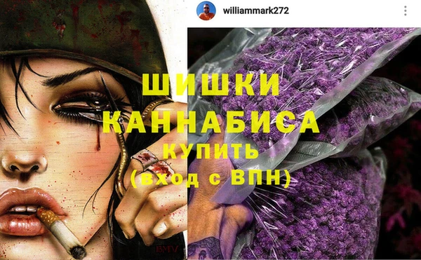 мескалин Ельня