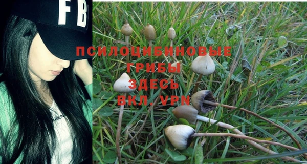 мескалин Ельня