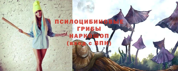 мескалин Ельня