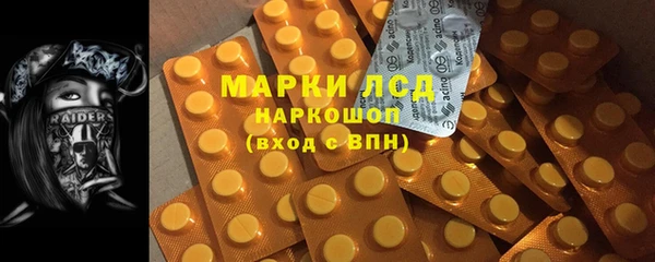 гашик Елизово