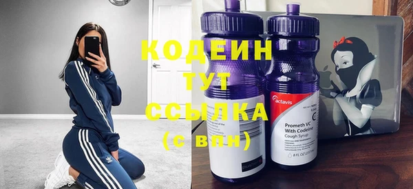 гашик Елизово