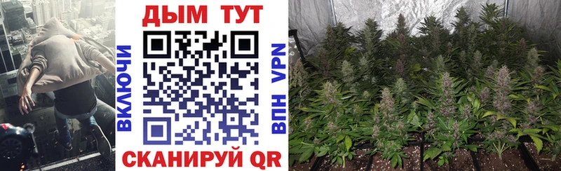 Купить где Белово Шишки марихуана OG Kush